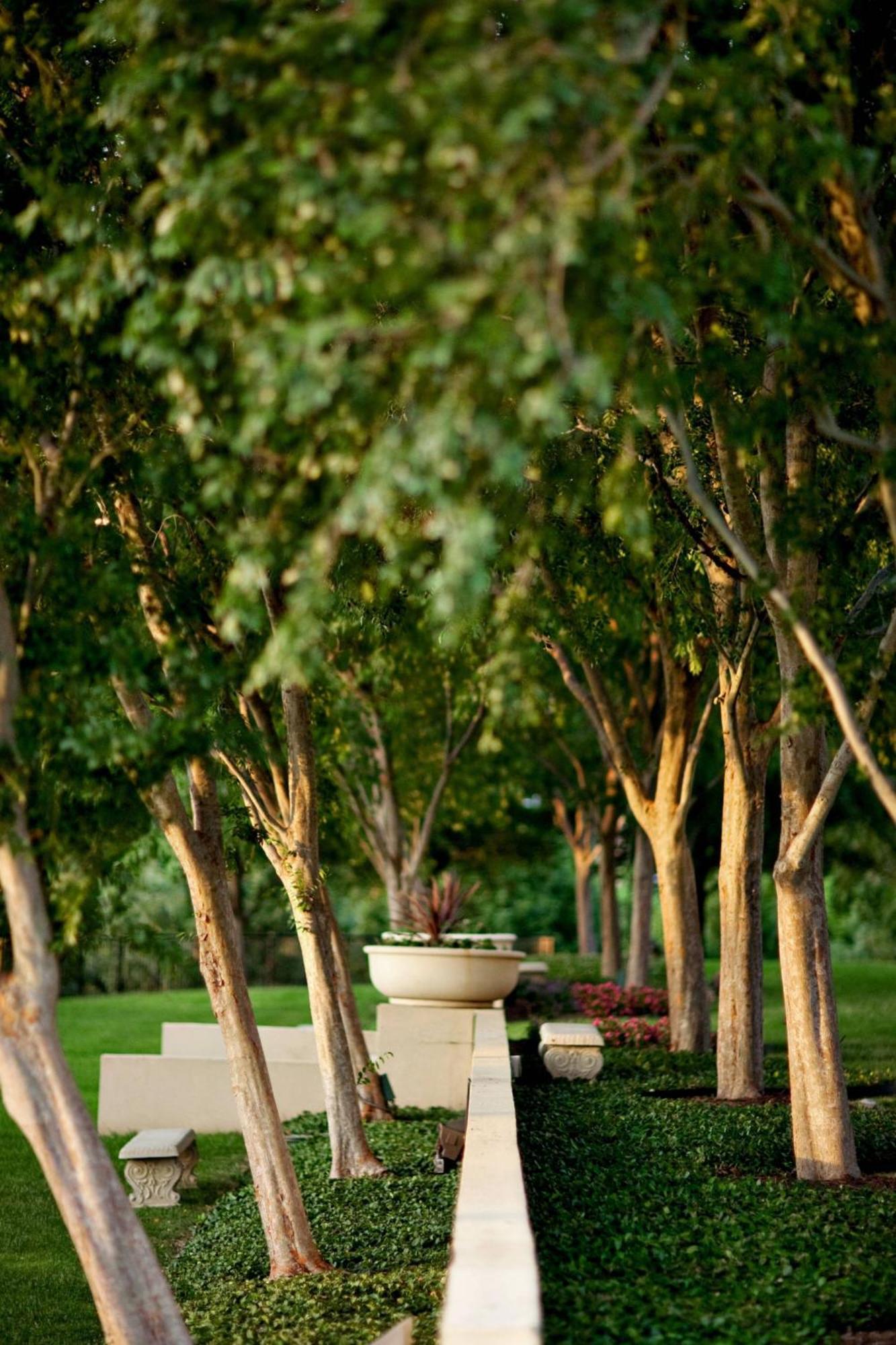The Westin Dallas Stonebriar Golf Resort & Spa Frisco Exteriör bild